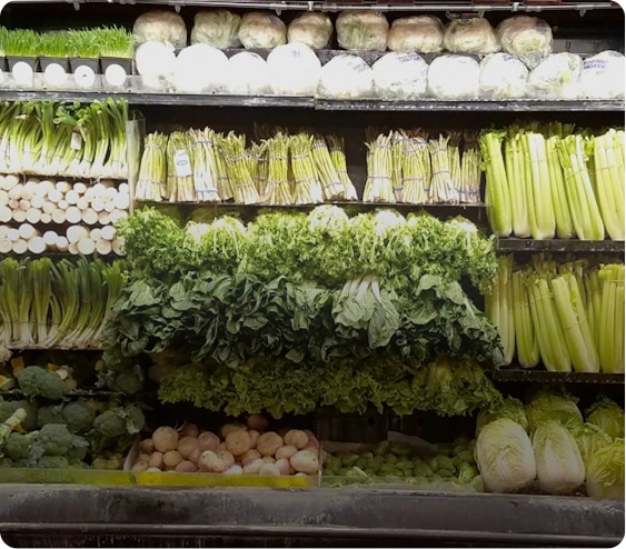 Move In/Out Cleaning