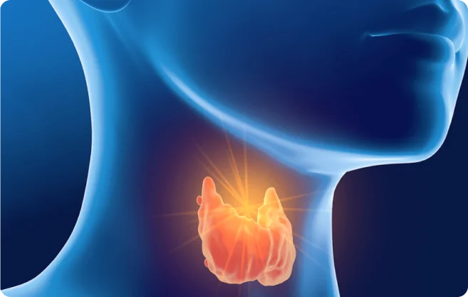 Doctor consulting patient